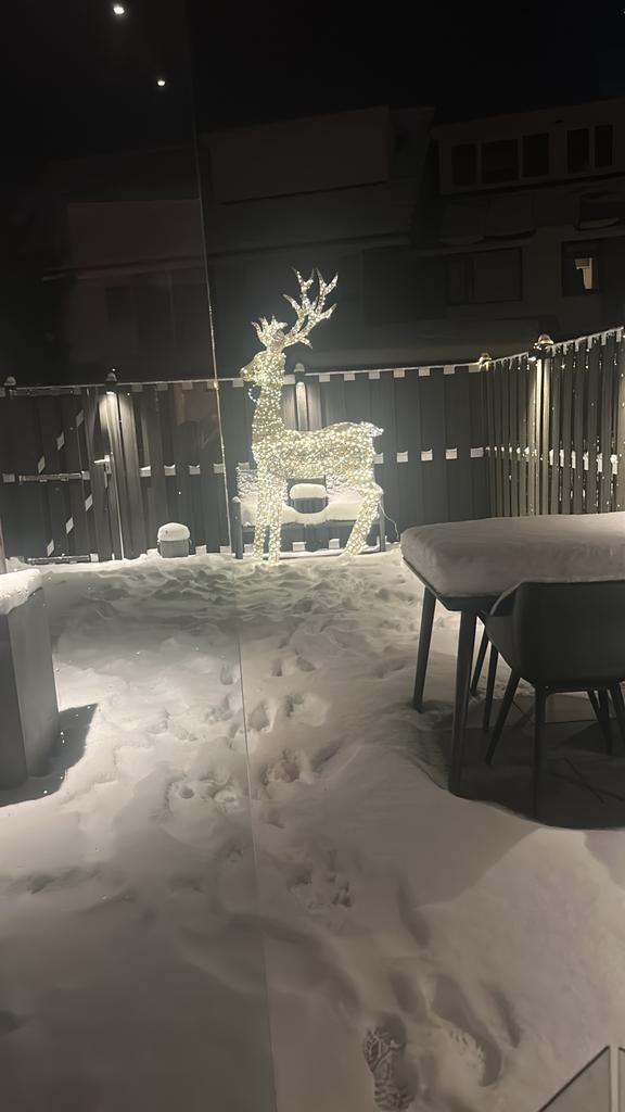 Verlicht rendier (groot), Diversen, Kerst, Ophalen, Zo goed als nieuw