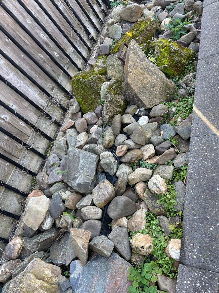 Gratis af te halen: Maaskeien en stenen voor tuin of oever, Tuin en Terras, Grind, Keien en Split, Ophalen, Gebruikt, Grijs, Kei