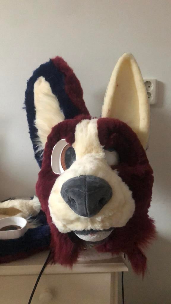 Fursuit onafgemaakt, Hobby en Vrije tijd, Ophalen of Verzenden, Zo goed als nieuw