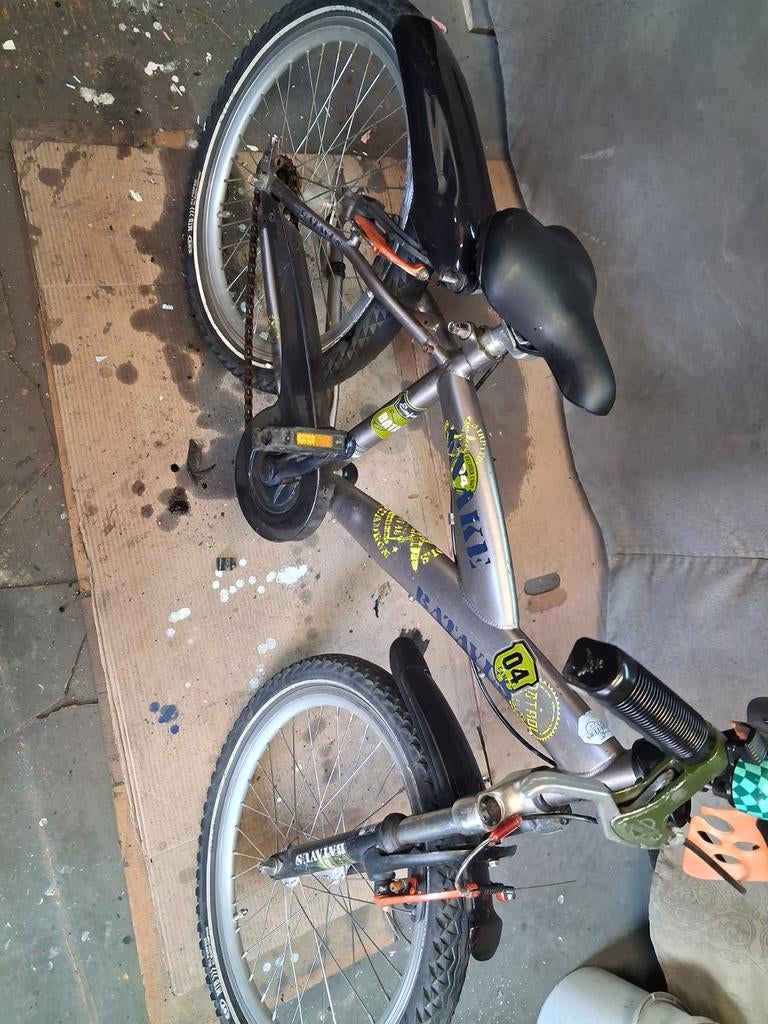 Batavus snake  20 inch, Ophalen of Verzenden, Gebruikt, 20 inch of meer, Batavus