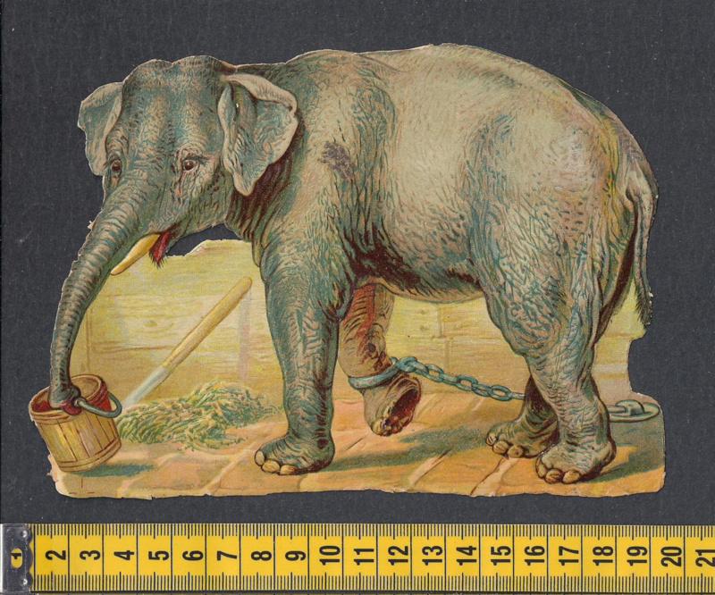 Olifant in de stal antiek poezieplaatje (593), Ophalen of Verzenden