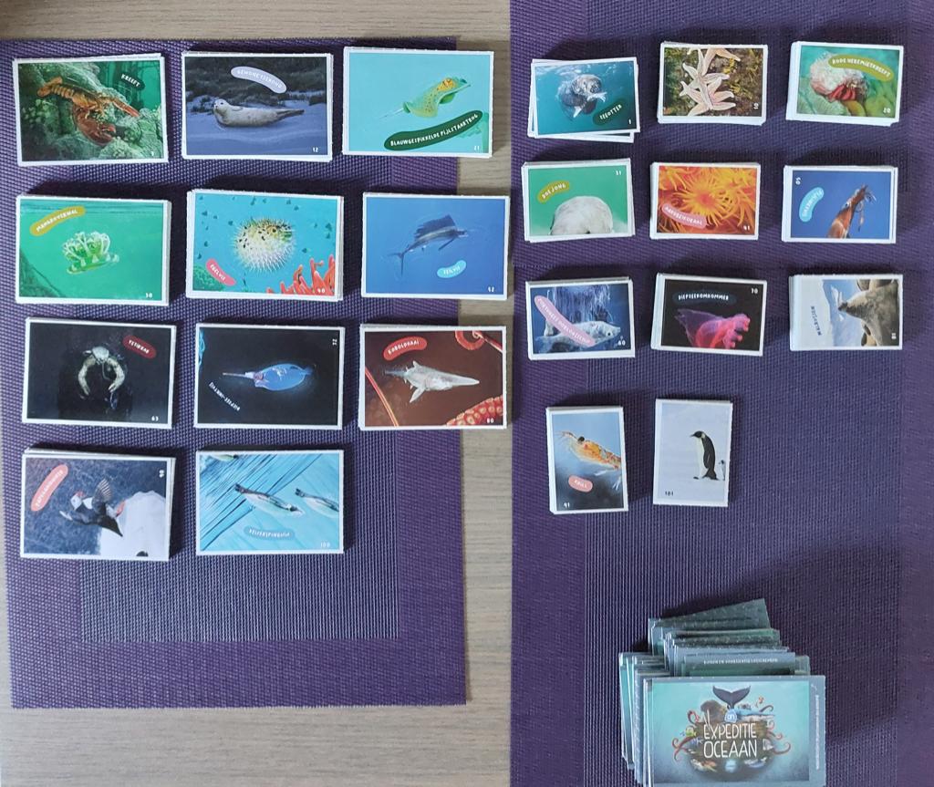 AH expeditie oceaan, Albert Heijn, Ophalen of Verzenden