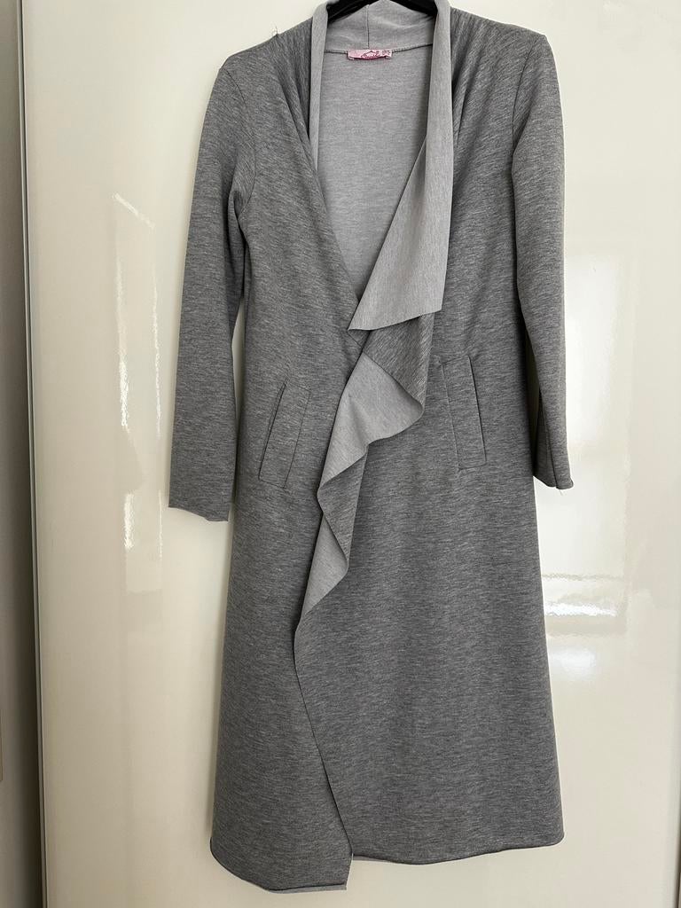 Dames vest grijs, Ophalen of Verzenden, Gedragen, Maat 38/40 (M), Grijs