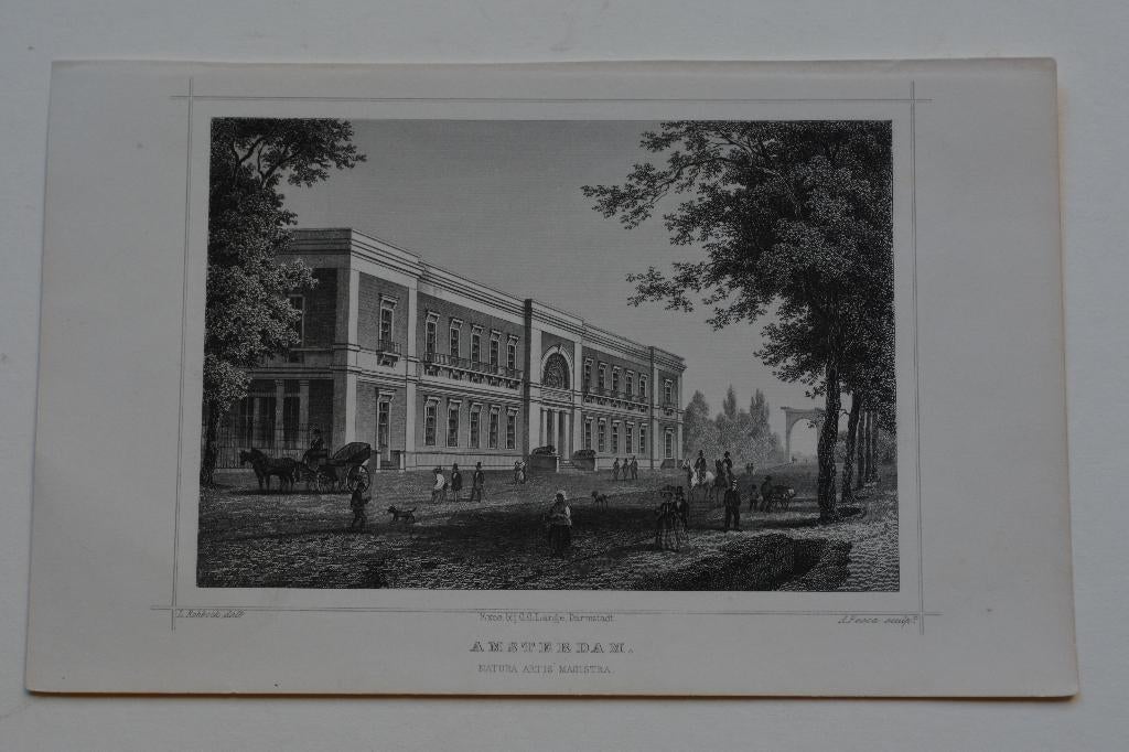 AMSTERDAM ARTIS PLANTAGE MIDDENLAAN Mooie Gravure Terwen G19, Verzenden