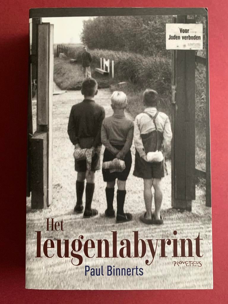Paul Binnerts - Het leugenlabyrint, Boeken, Ophalen of Verzenden, Zo goed als nieuw, Paul Binnerts