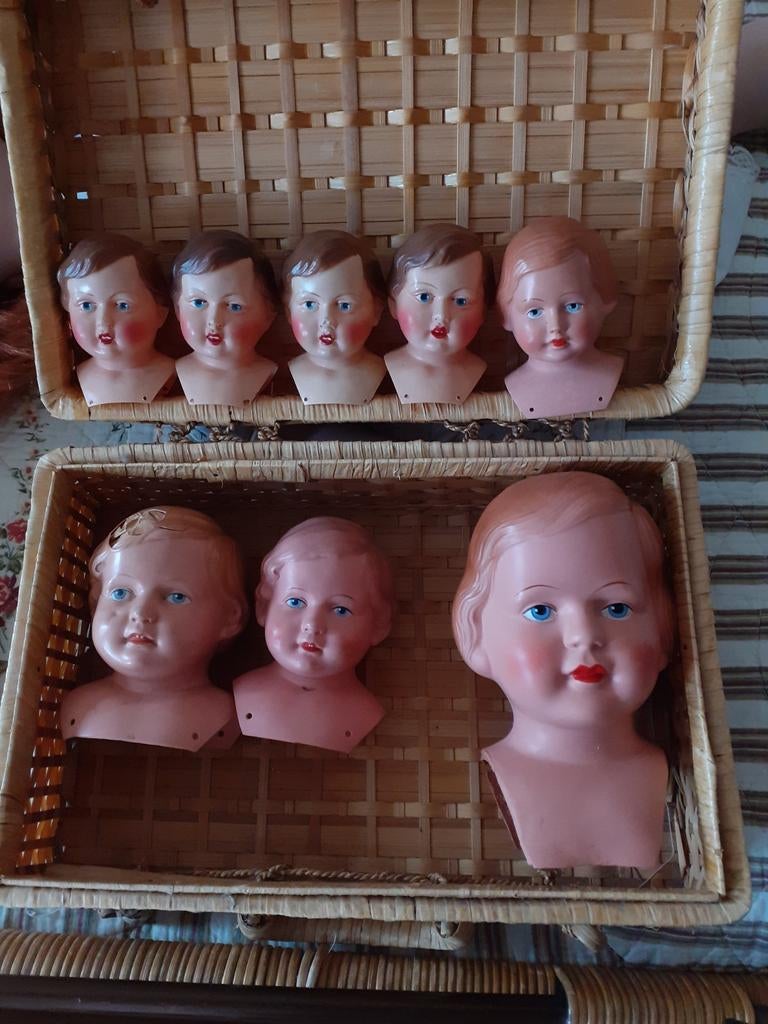 Schilpad hoofdjes in prima staat, Ophalen of Verzenden