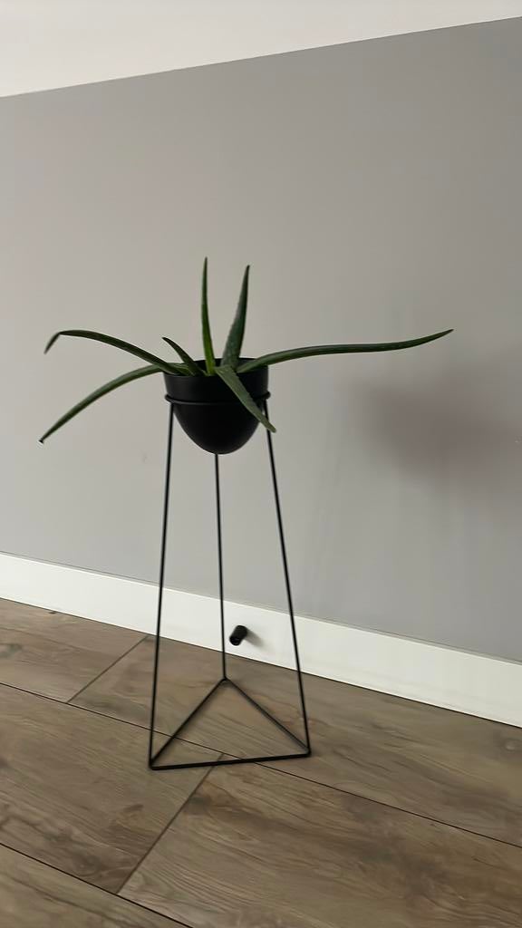 Planten houder, Ophalen, Zo goed als nieuw