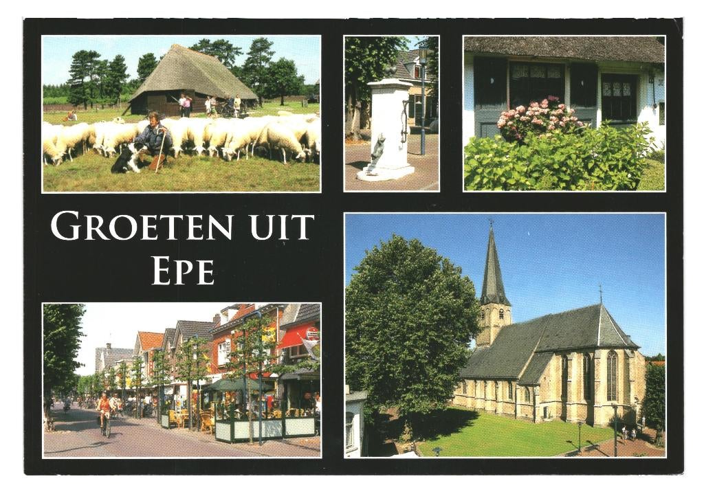 802276 Epe 80+ Gld Gelopen met Postzegel