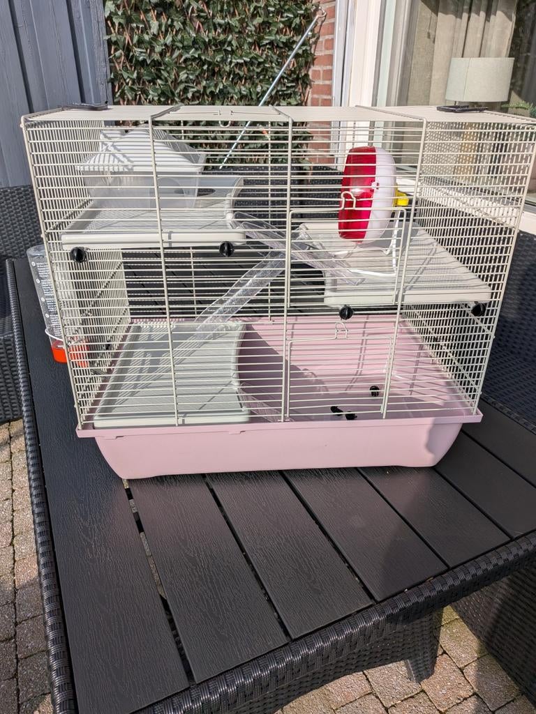 Hamsterkooi, Dieren en Toebehoren, Knaagdieren en Konijnen | Hokken en Kooien, Ophalen of Verzenden, Minder dan 75 cm, Kooi, Minder dan 60 cm