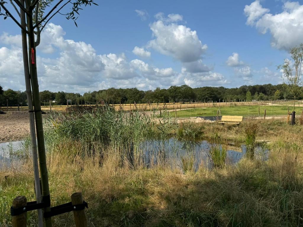 ‼️PLEKJE BESCHIKBAAR OP PADDOCK PARADISE OMGEVING DRENTHE