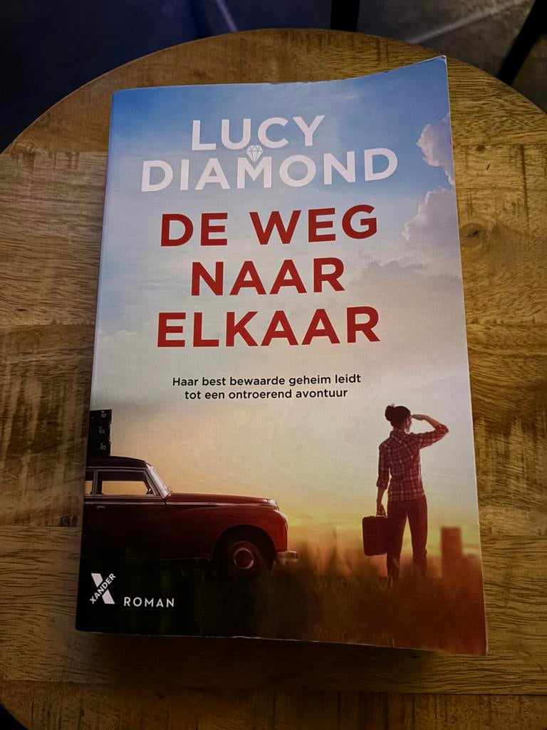 Lucy Diamond - De weg naar elkaar, Boeken, Ophalen of Verzenden, Gelezen, Lucy Diamond