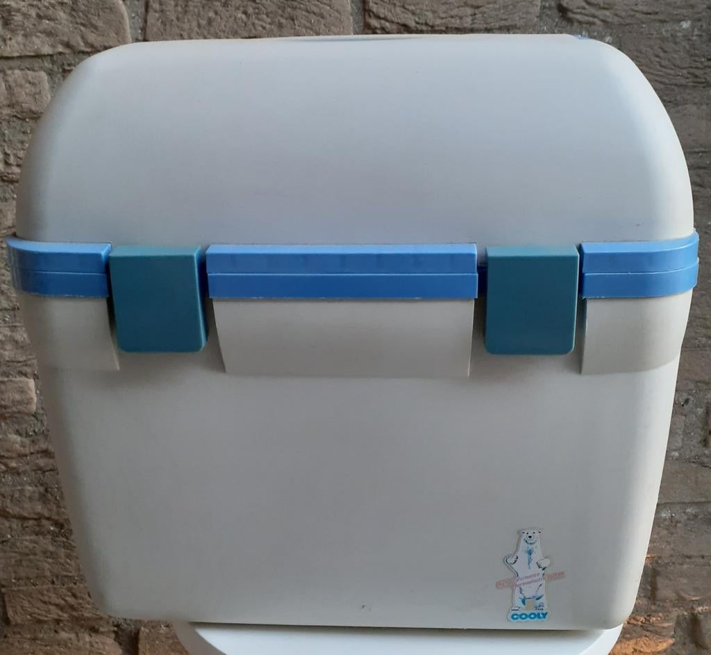 Koel/warmhoudbox 12Volt, Caravans en Kamperen, Koelboxen, Ophalen of Verzenden, Gebruikt, Elektrisch