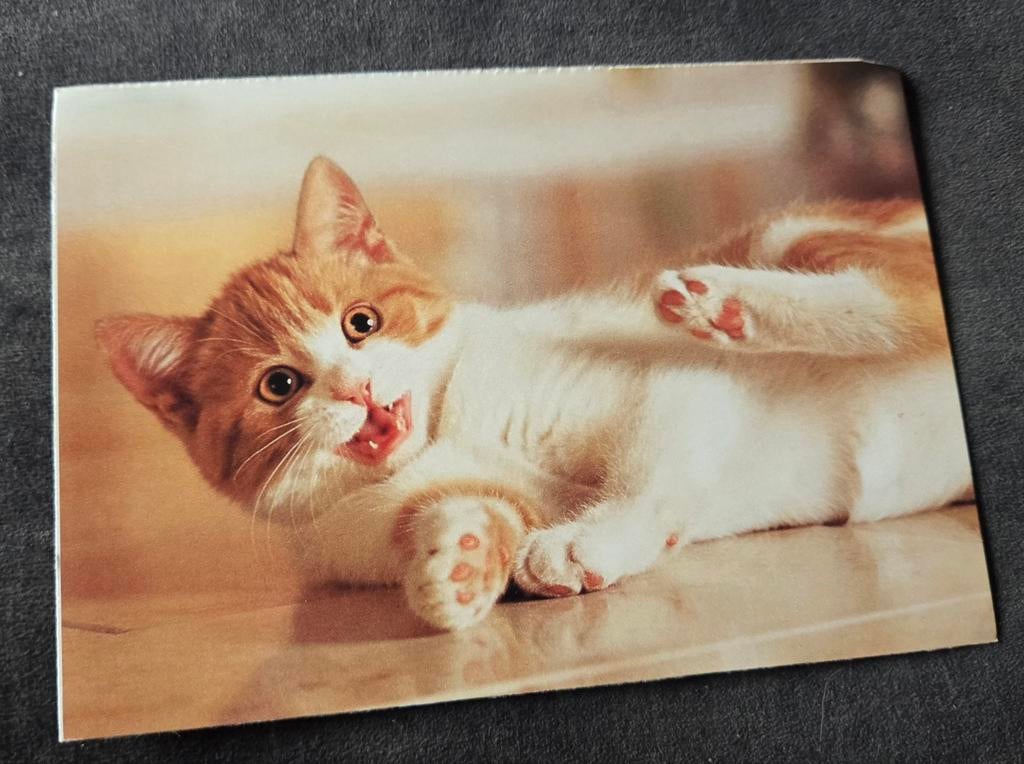 Schattig rood wit katje - Whiskas, Verzenden, 1980 tot heden, Ongelopen, Hond of Kat