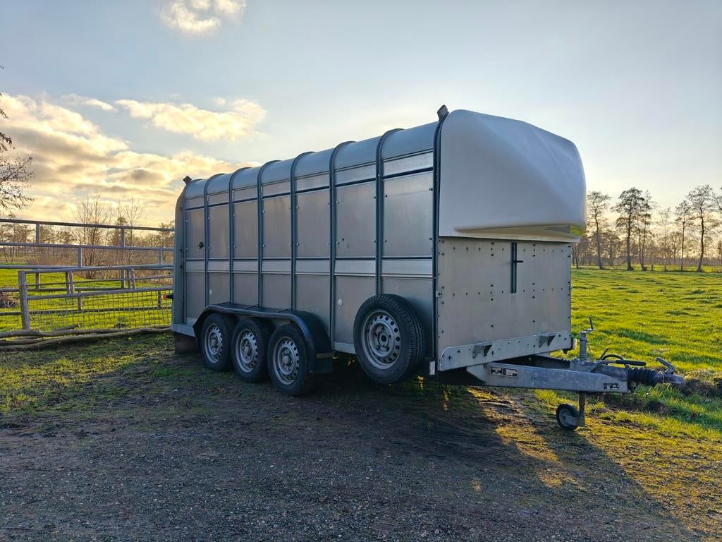 IFOR Williams Veetrailer 3-asser Veewagen Tridemas - 3500kg, Ophalen, Transport