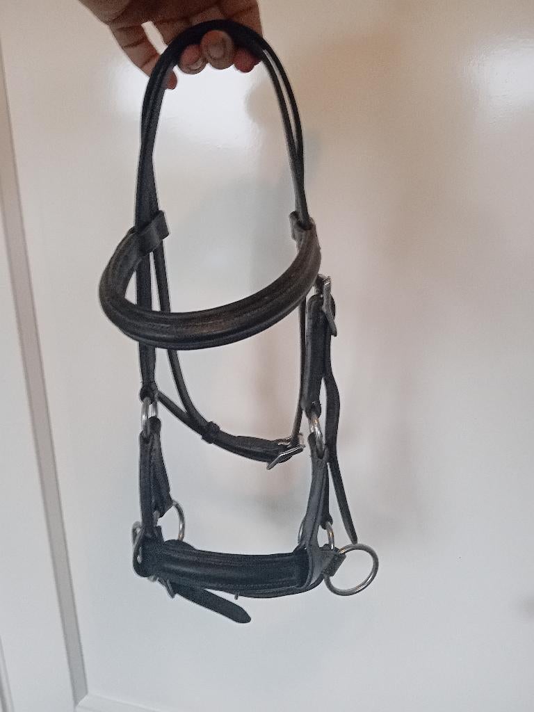 bitloos hoofdstel F.R.A, Ophalen of Verzenden, Zo goed als nieuw, Overige soorten