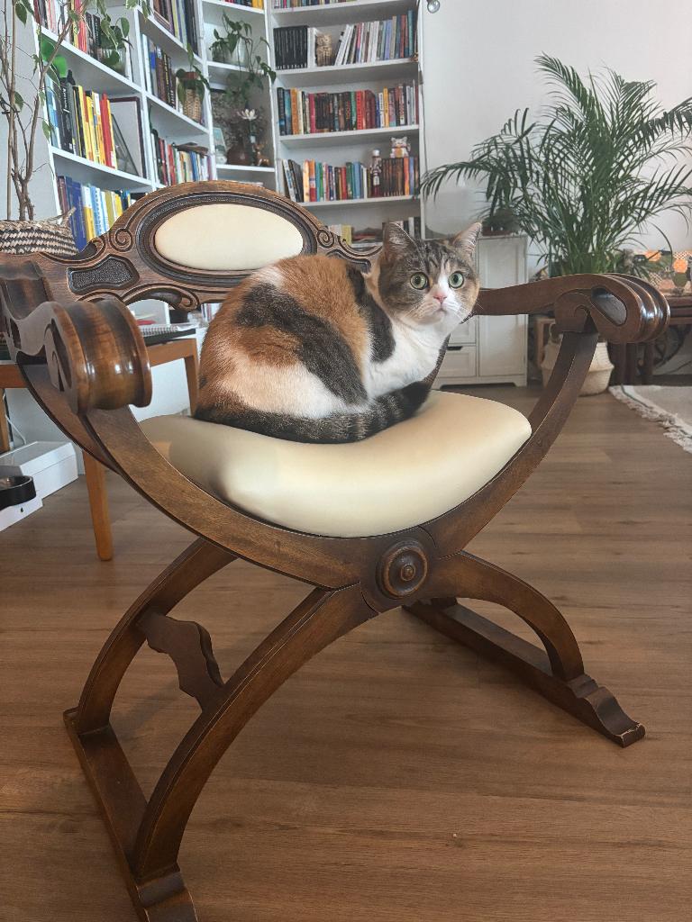 Vintage wooden curule-style accent chair, Ophalen