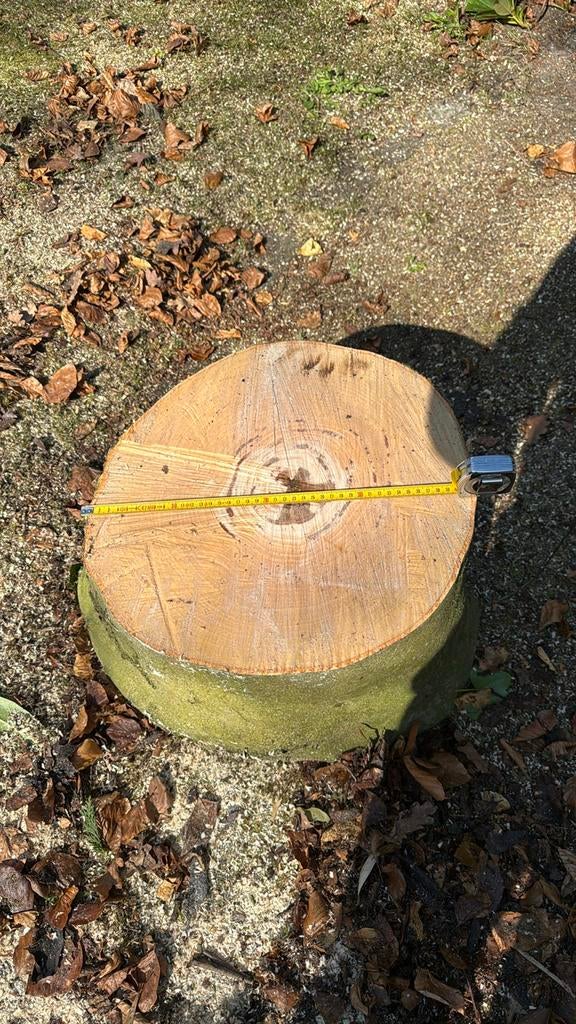 Grote beuken boomstam voor brandhout of decoratie, Minder dan 3 m³, Ophalen, Beukenhout, Stammen