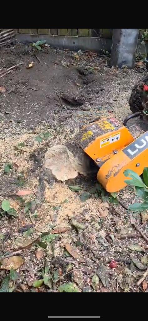 Stronk frezen/ verwijderen, Ophalen of Verzenden, Zo goed als nieuw, Elektrisch