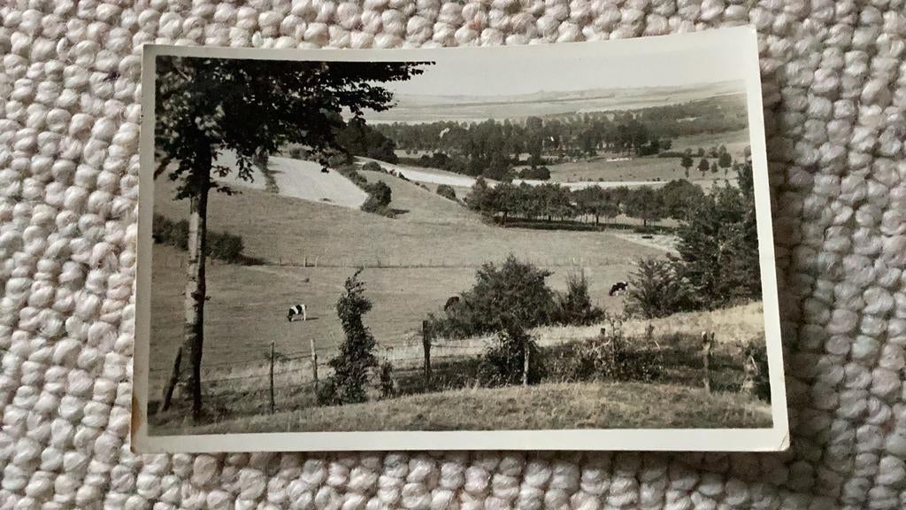 Ansichtkaart Mechelen Panorama vanaf De Suikerknip jaren ‘50, Ophalen of Verzenden, 1940 tot 1960, Gelopen, Limburg