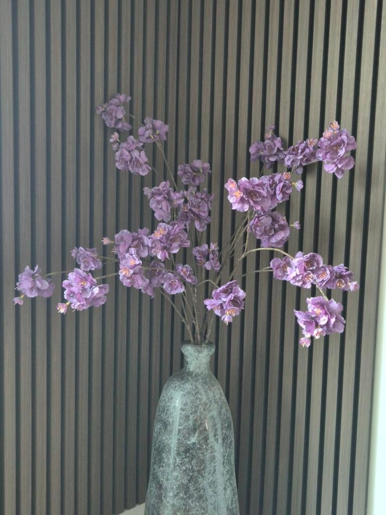 Bloesemtakken, Ophalen of Verzenden