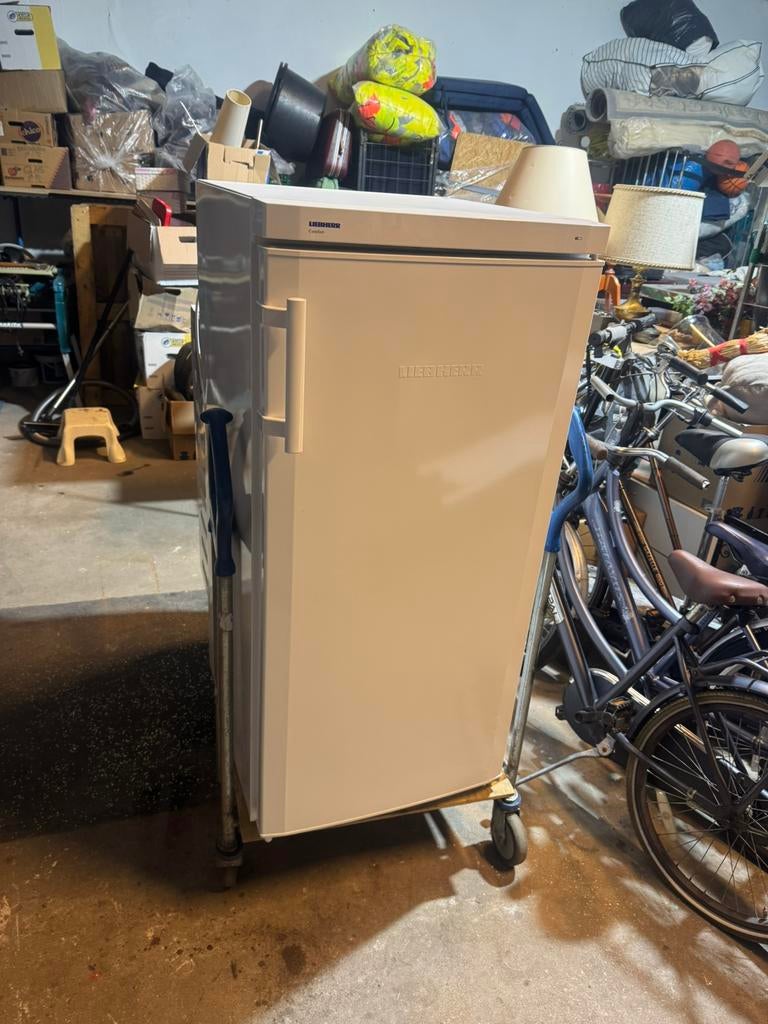 Koelkast van liebherr 114 cm hoog 55 cm breed 61 diep, Ophalen, Zonder vriesvak, 120 tot 140 cm, 200 liter of meer