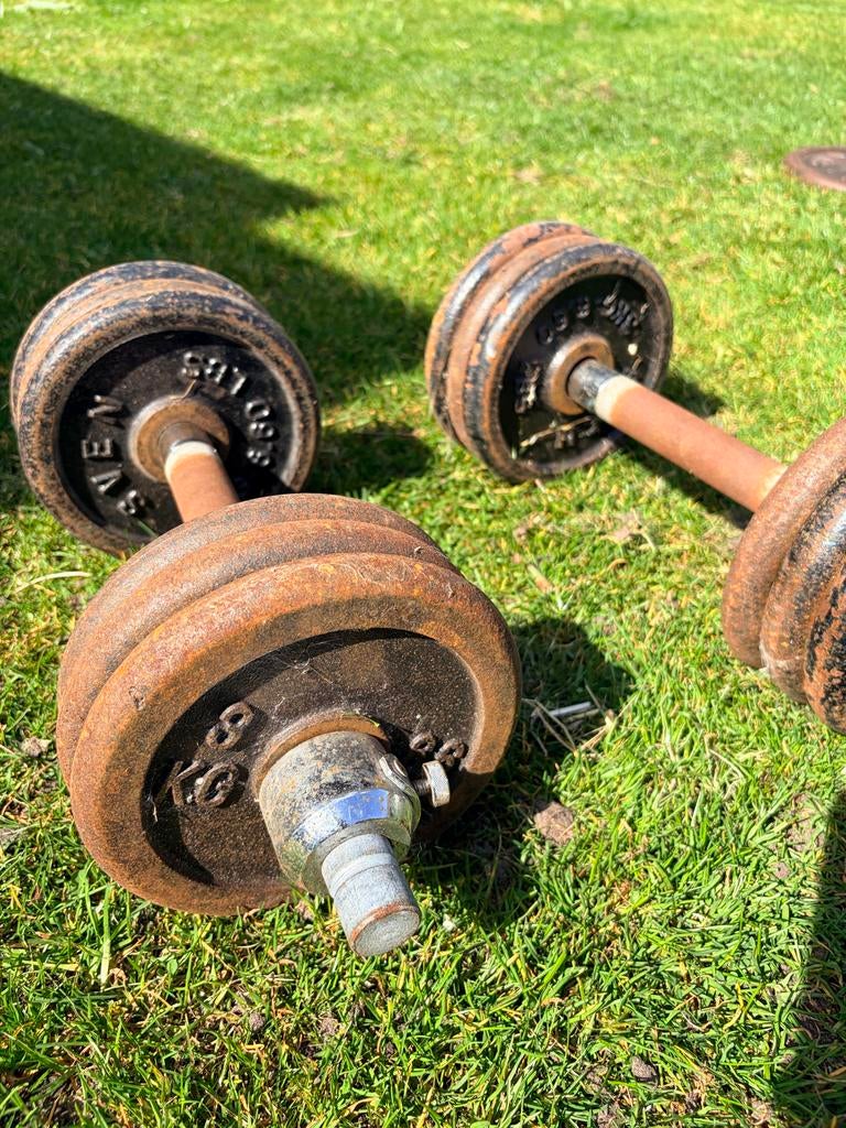 Dumbbells (21kg, 15kg), losse schijven (10kg) & fitnessbankj, Sport en Fitness, Fitnessmaterialen, Ophalen of Verzenden, Gebruikt