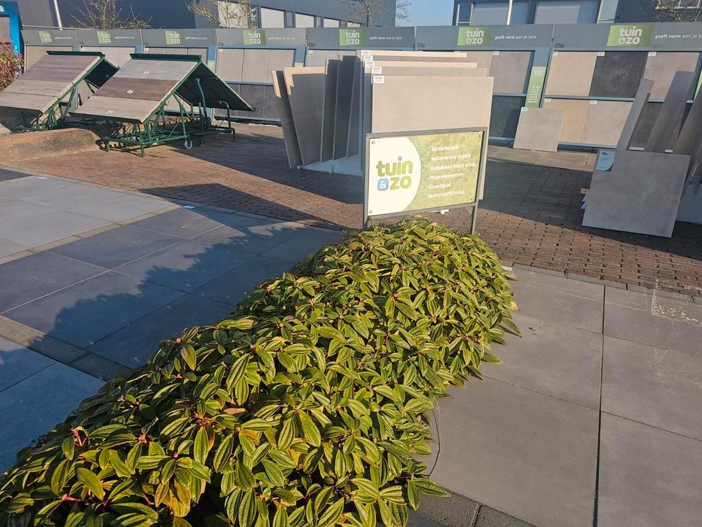 Keramische, betontegels, kunstgras en tuinverlichting, Tuin en Terras, Ophalen of Verzenden