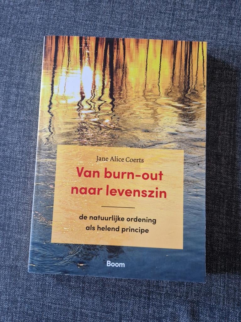 Van burn-out naar levenszin - Jane Alice Coerts, Ophalen of Verzenden, Zo goed als nieuw, Jane Alice Coerts