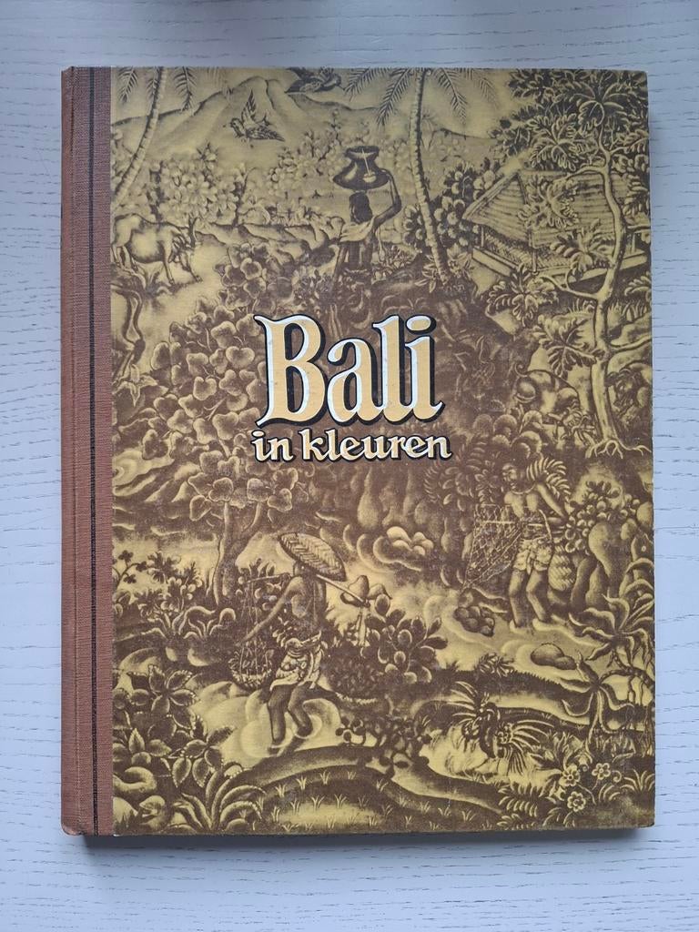 Boek- "BALI in kleuren/ Wim Berssenbrugge/ jaren '50, Ophalen of Verzenden
