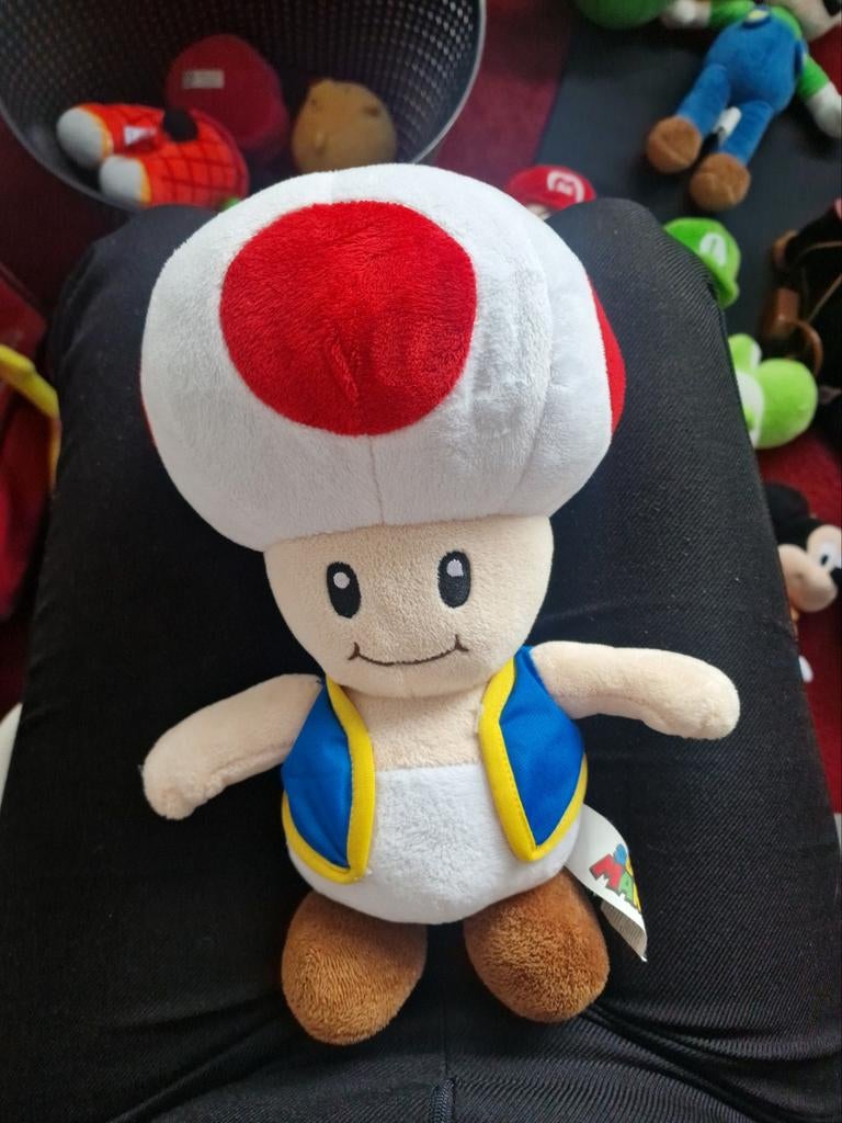 Toad knuffel - Zo goed als nieuw, Kinderen en Baby's, Speelgoed | Knuffels en Pluche, Ophalen of Verzenden, Zo goed als nieuw