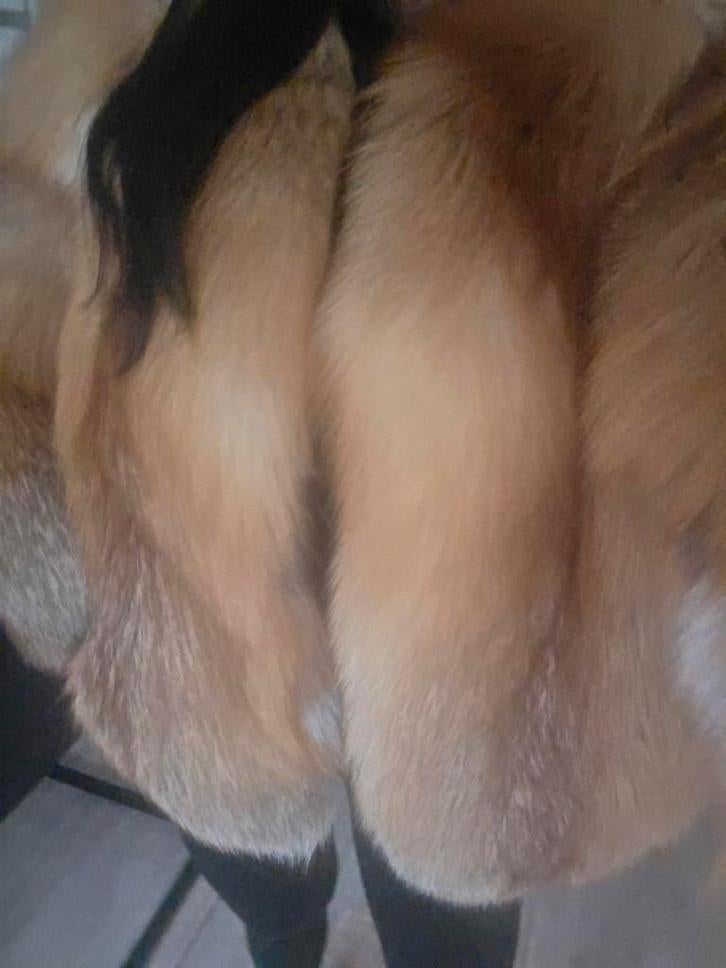 Bontjas echte  roodvos nieuw, Ophalen of Verzenden