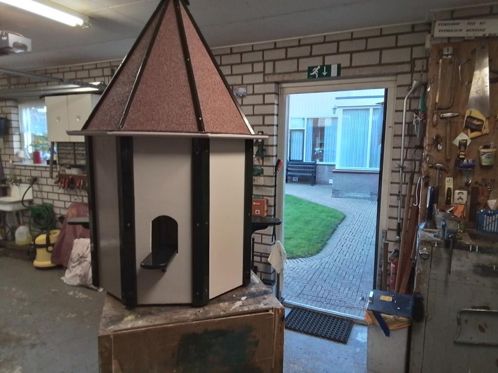 Duiventil, Dieren en Toebehoren, Mannelijk, Postduif