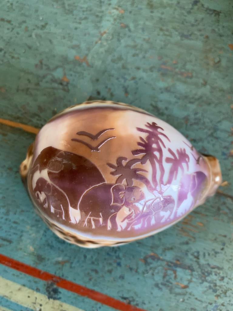 Gesneden Kauri schelp met olifanten en palmbomen, Ophalen of Verzenden, Zo goed als nieuw