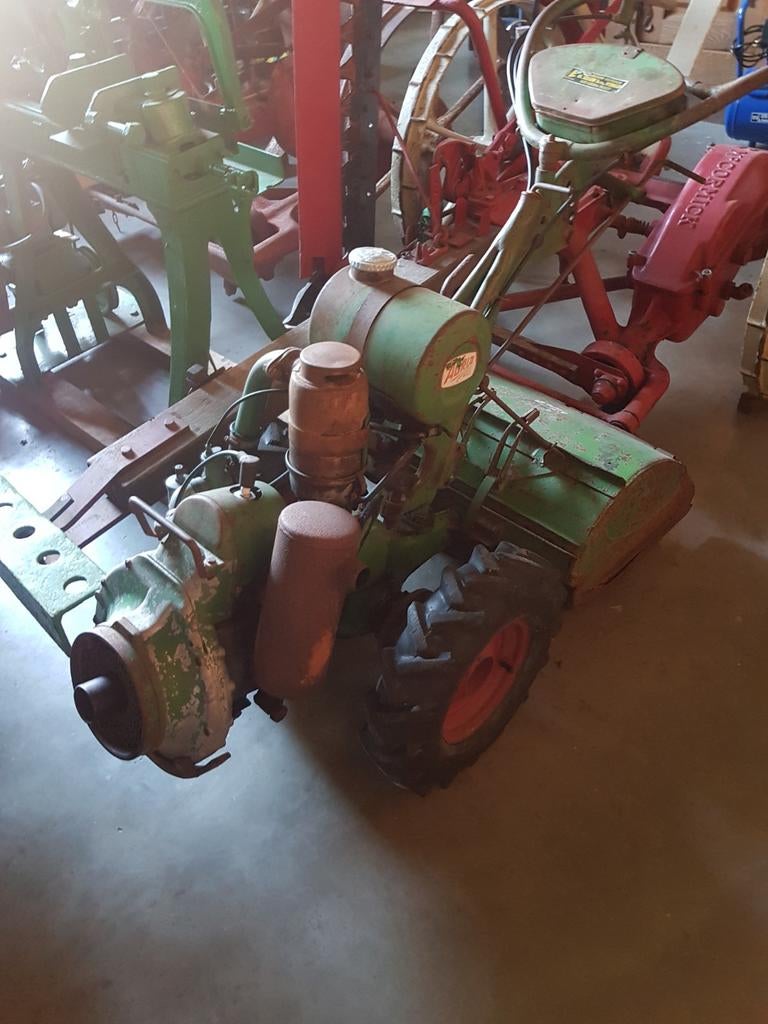 Tuinfrees, Ophalen of Verzenden