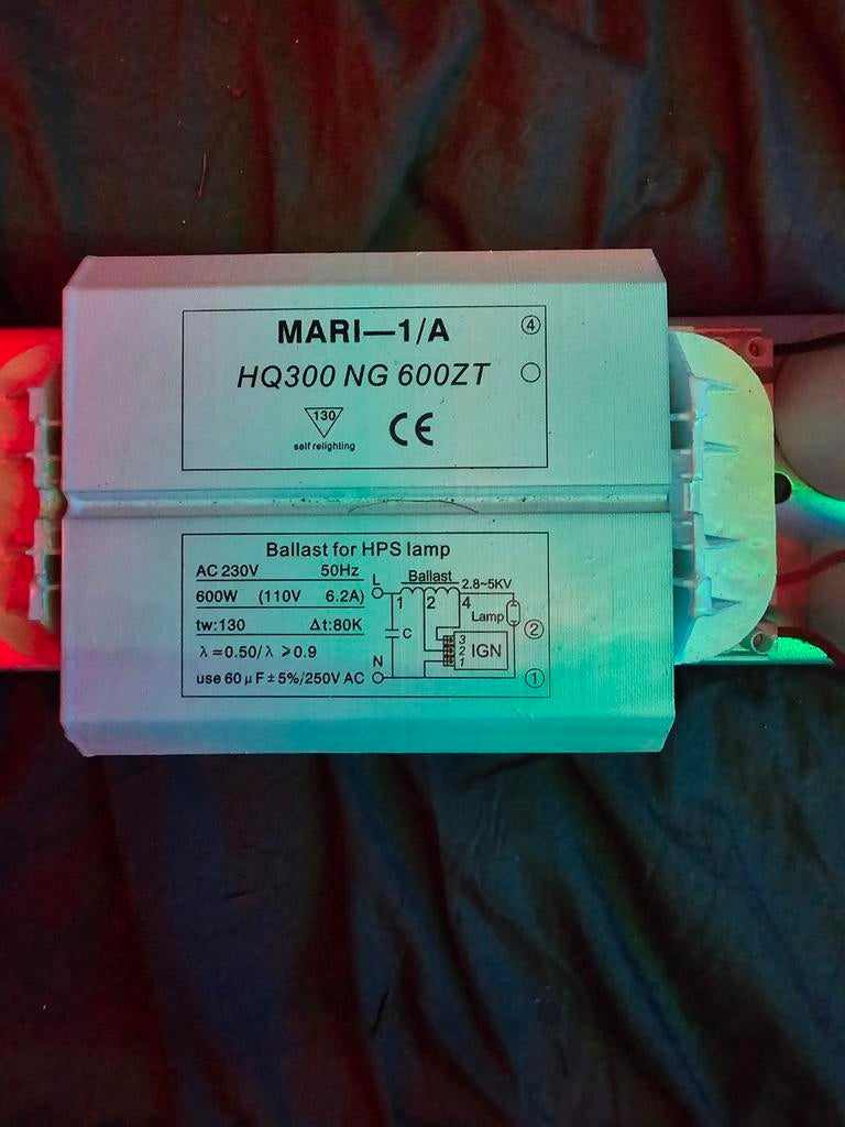 Kweeklamp ballast 600W en 3 travo 600 watt, Ophalen of Verzenden, Gebruikt, Kweeklamp