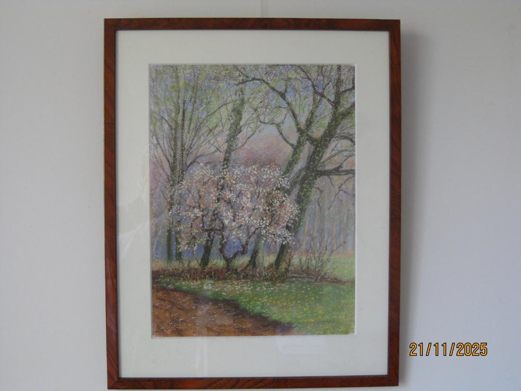 Natuur Krijttekening Laren (Het Gooi) - Y Blanksma, Ophalen