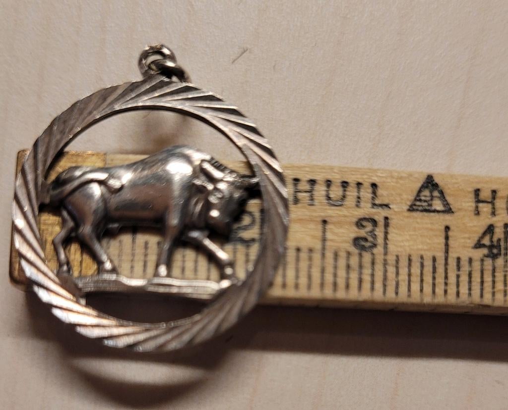 Hangertje van zilver stier sterrenbeeld, Ophalen of Verzenden