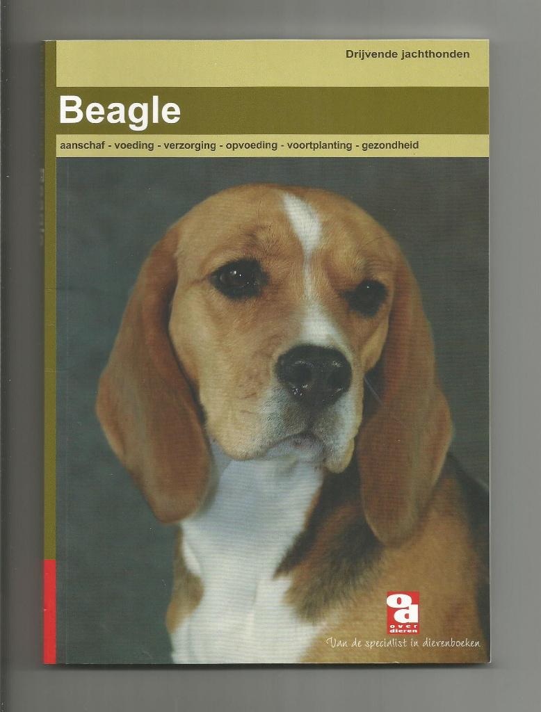 Beagle, Ophalen of Verzenden, Nieuw, Honden
