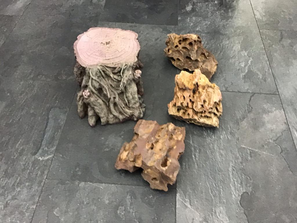 Aquarium stenen en boomstronk, gratis., Ophalen, Zo goed als nieuw, Plant(en), Steen of Hout