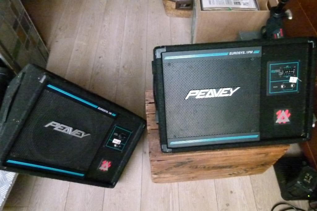 2 PEAVEY monitor 100 Watt Amplifier floor boxen, Ophalen of Verzenden, Gebruikt, Gitaar, 100 watt of meer
