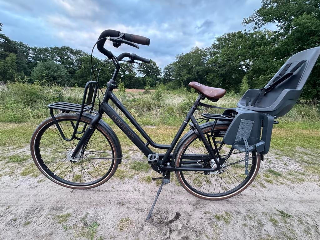 BSP La Dolce Vita stadsfiets met 7 versnellingen, Ophalen