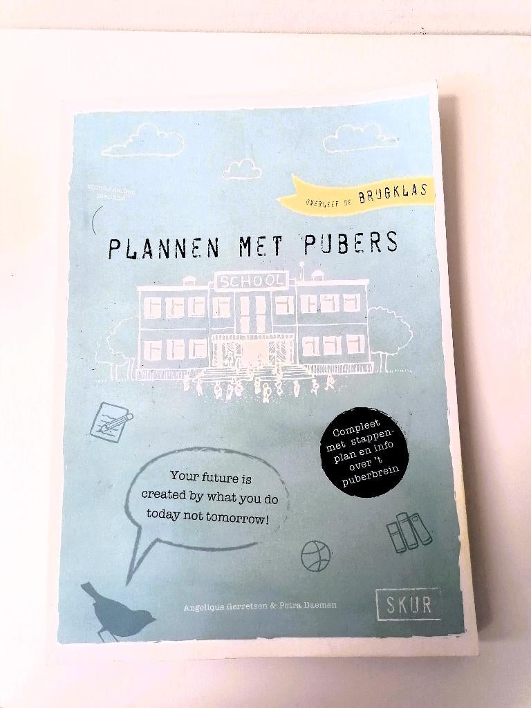 Boek Plannen met pubers overleef de brugklas, Boeken, Ophalen of Verzenden, Zo goed als nieuw, Angelique Gerretsen & Petra Daemen