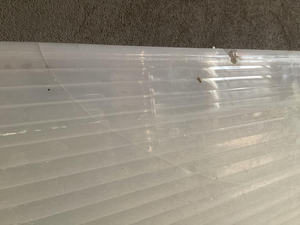 Gratis af te halen: Polycarbonaat platen, Doe-het-zelf en Verbouw, Platen en Panelen, Ophalen, Gebruikt, Overige materialen, Minder dan 20 mm