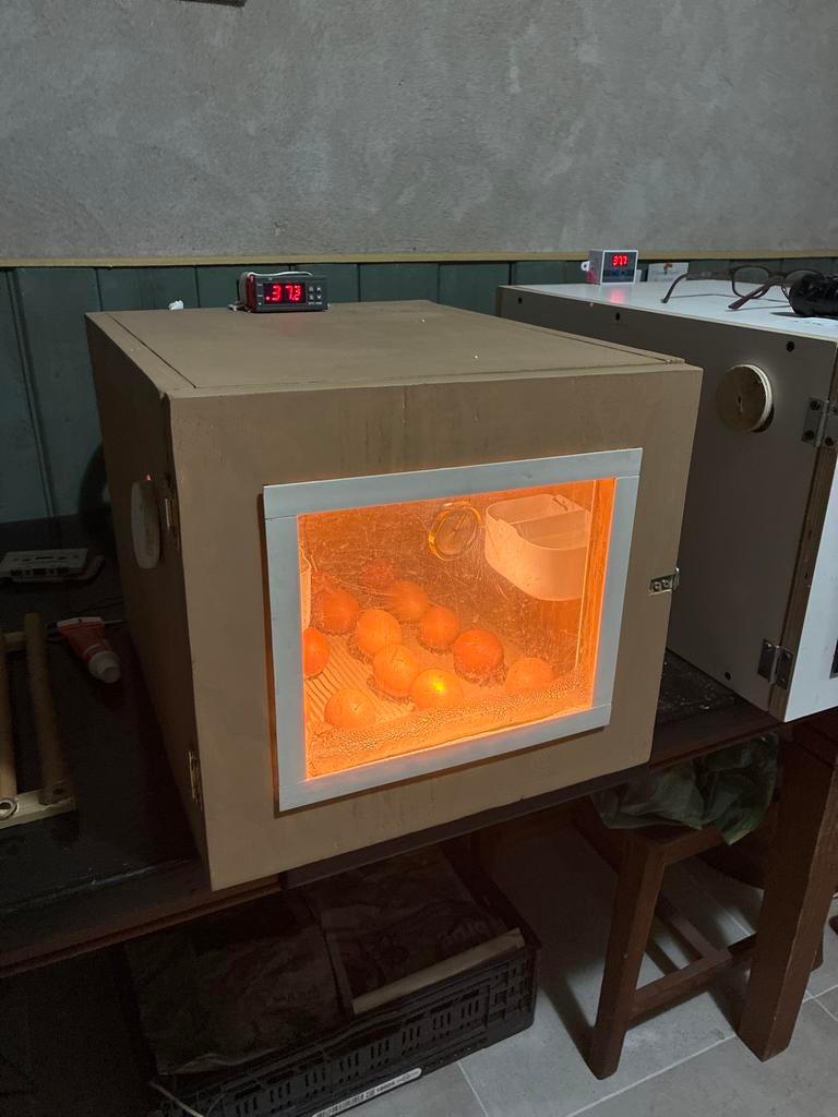 Broedmachine, Ophalen of Verzenden, Zo goed als nieuw, Broedmachine