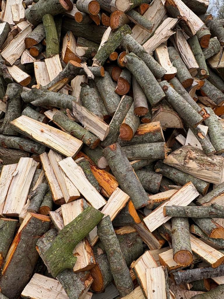 Elzenhout, gezaagd en gekloofd (30 cm), 6 m³ of meer, Ophalen of Verzenden, Elzenhout, Blokken