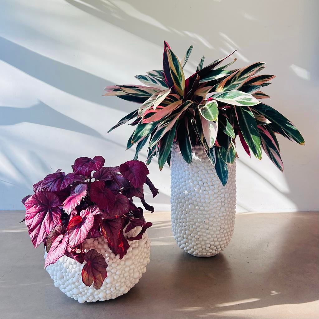 Design grote bloempotten vazen bubble marbles wit, Ophalen, Overige materialen, Gebruikt, Wit