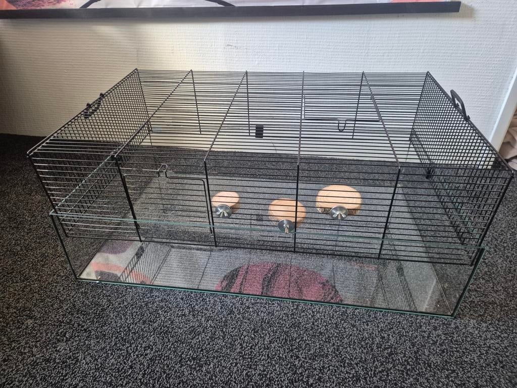 Hamster terrarium / kooi incl accessoires, Kooi, Gebruikt, Minder dan 75 cm, Hamster