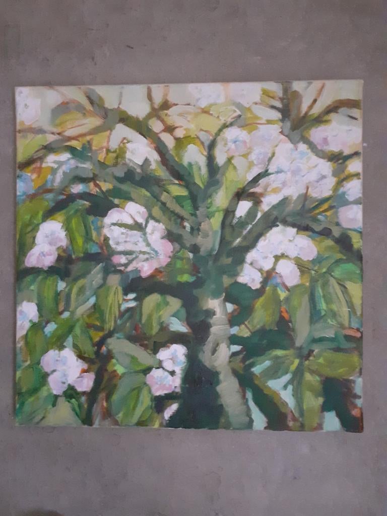 Bloesemboom, Ophalen, Katoen, 30 tot 200 cm, 120 cm of meer