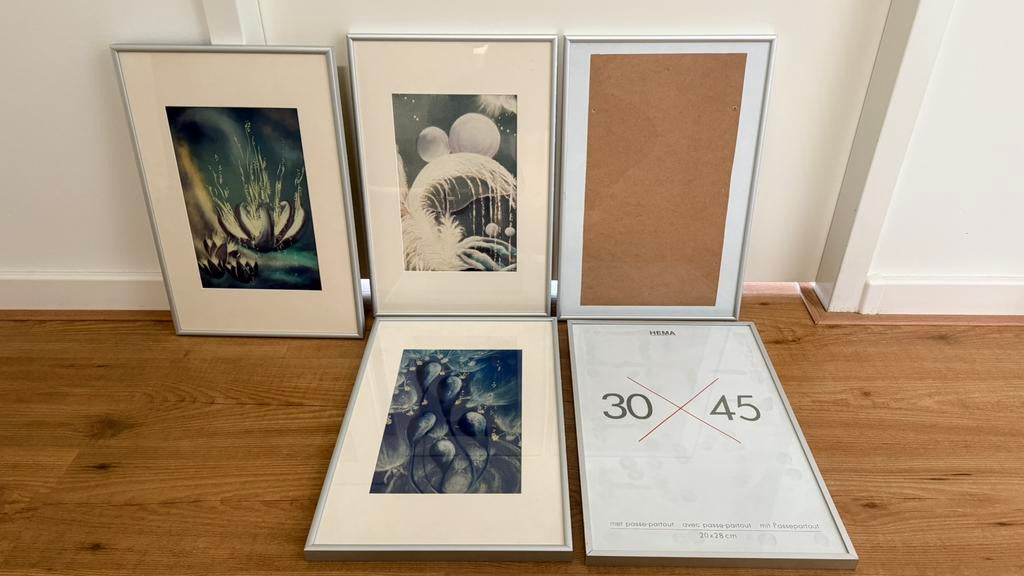 5x fotolijsten 30x45, Huis en Inrichting, Woonaccessoires | Lijsten, Minder dan 50 cm, Metaal of Aluminium, Ophalen of Verzenden