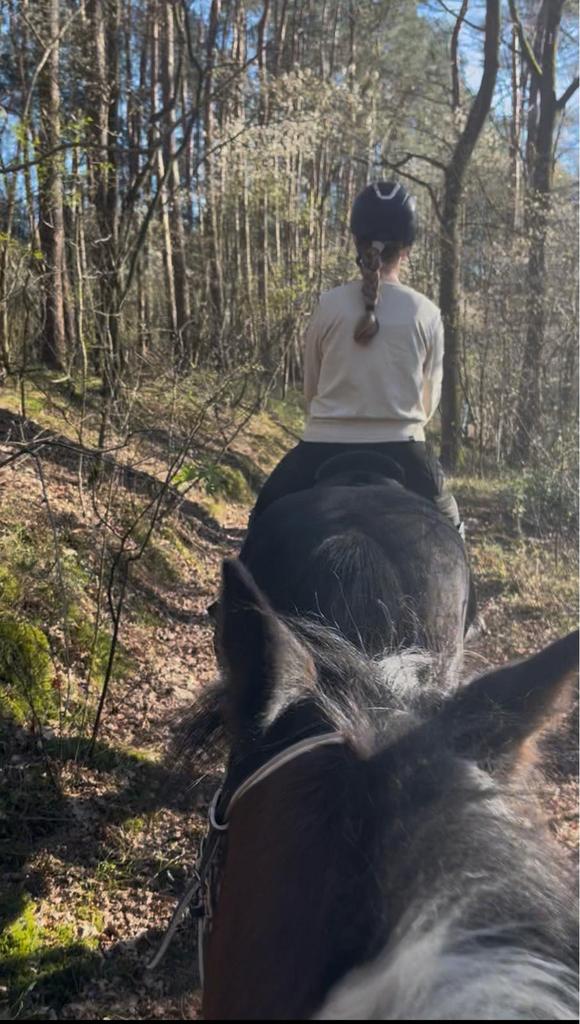Gezocht verzorgpony, Dieren en Toebehoren, Ophalen of Verzenden